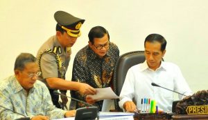 Pemerintah Jokowi lebur sembilan lembaga nonstruktural