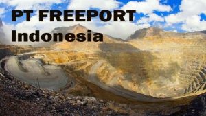 Kabinet Presiden Jokowi pecah terkait PT Freeport