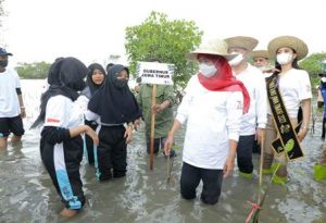 Jatim Targetkan 34 Ribu Hektare Restorasi Magrove