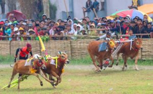 Sekdaprov Jatim Hadiri Grand Final Karapan Sapi Tradisional di Madura