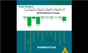 BPS Catat 10 Komoditas Penyumbang Deflasi di Jawa Timur