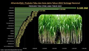 Produksi Gula dan Tebu Jatim Sumbang 49,55 % Nasional