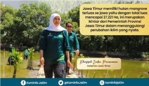 Hutan Mangrove Jatim Terluas di Pulau Jawa