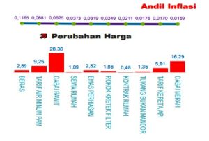 Beras, Penyumbang Dominan Inflasi Jatim di Januari 2023