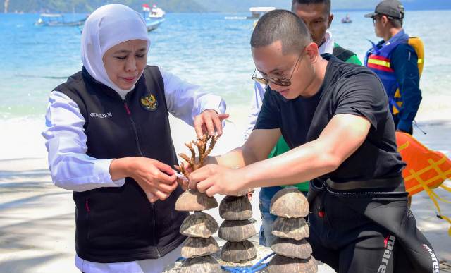 Gubernur Khofifah & Bupati Trenggalek Tanam Terumbu Karang