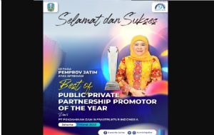 Penghargaan The Best of Public Private Partnership Promotor of The Year