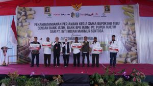 Dukung Ketahanan Pangan, Bank Jatim Kucurkan Kredit Untuk Gapoktan Tebu Tulungagung