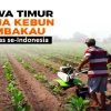 Dipimpin Khofifah-Emil, Jatim Jadi Produsen & Pemilik Areal Tembakau Terluas di Indonesia